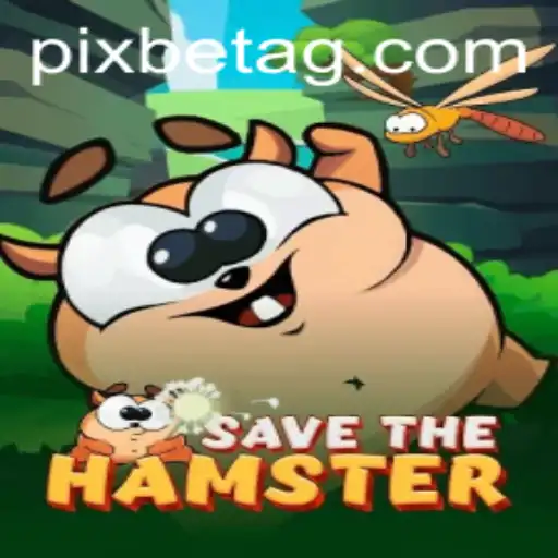 Rescue Adventure Game 